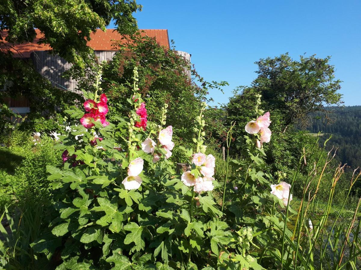 Appartamento Suedalpen Lofts Bleiburg Esterno foto