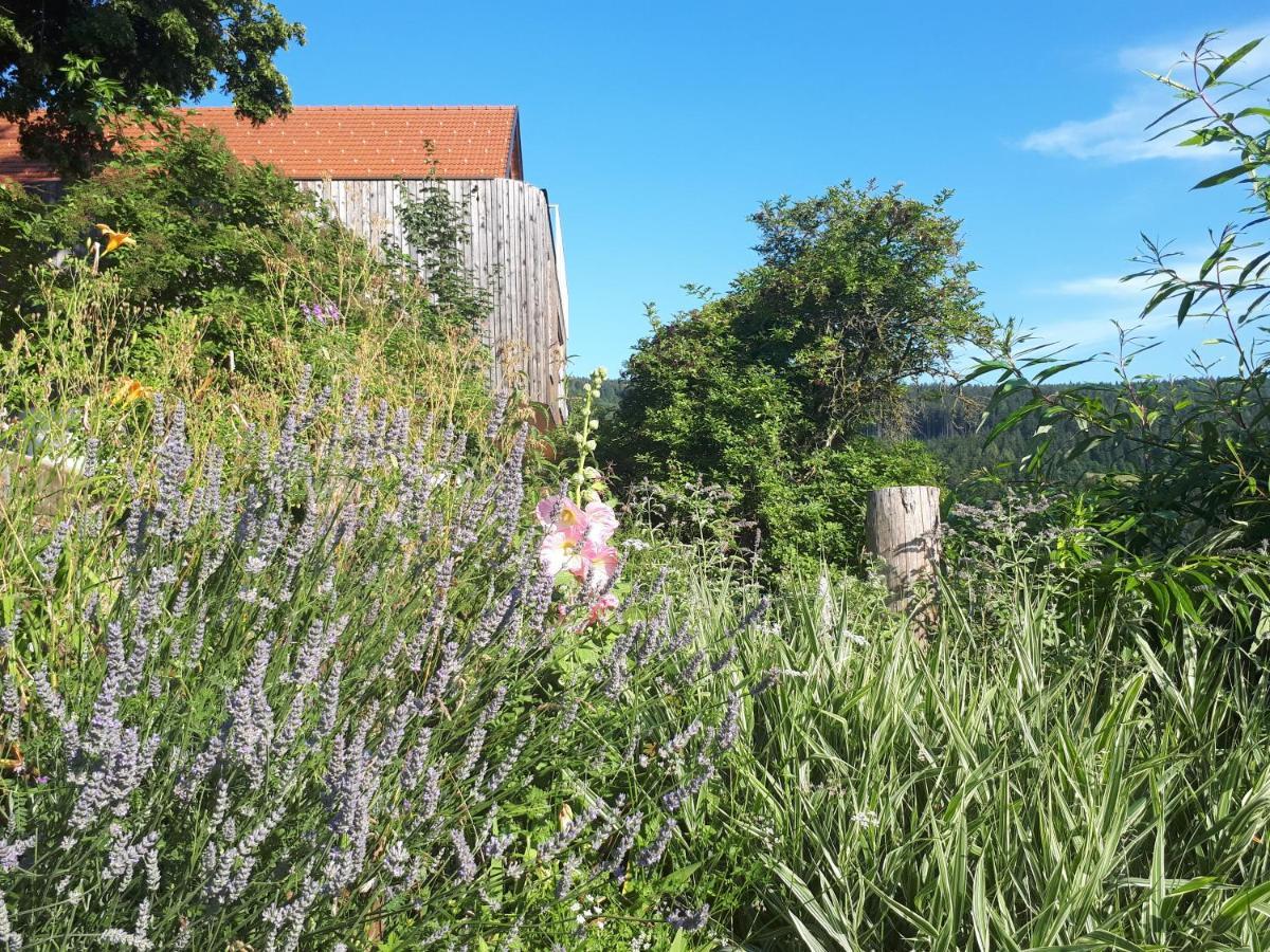 Appartamento Suedalpen Lofts Bleiburg Esterno foto