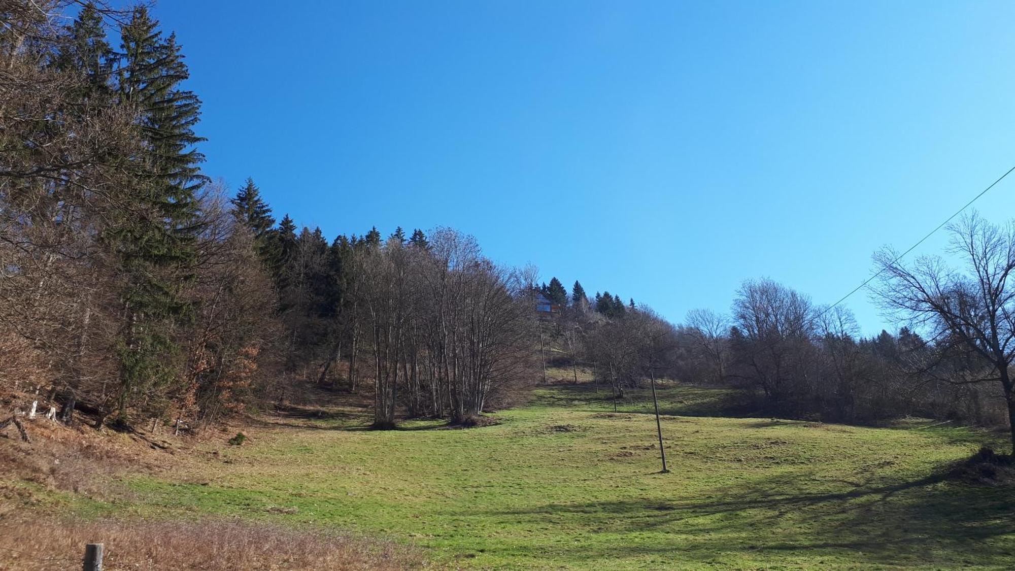 Appartamento Suedalpen Lofts Bleiburg Esterno foto