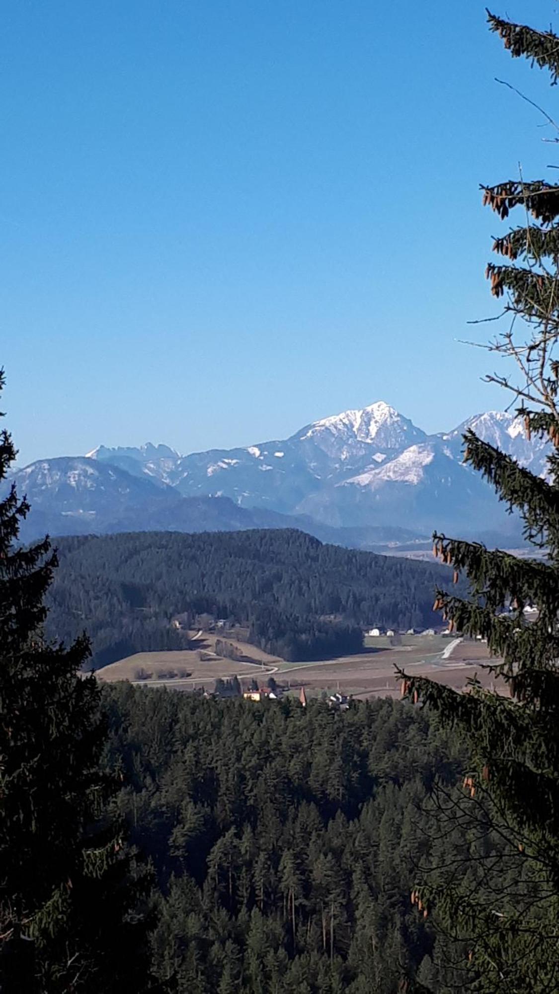 Appartamento Suedalpen Lofts Bleiburg Esterno foto