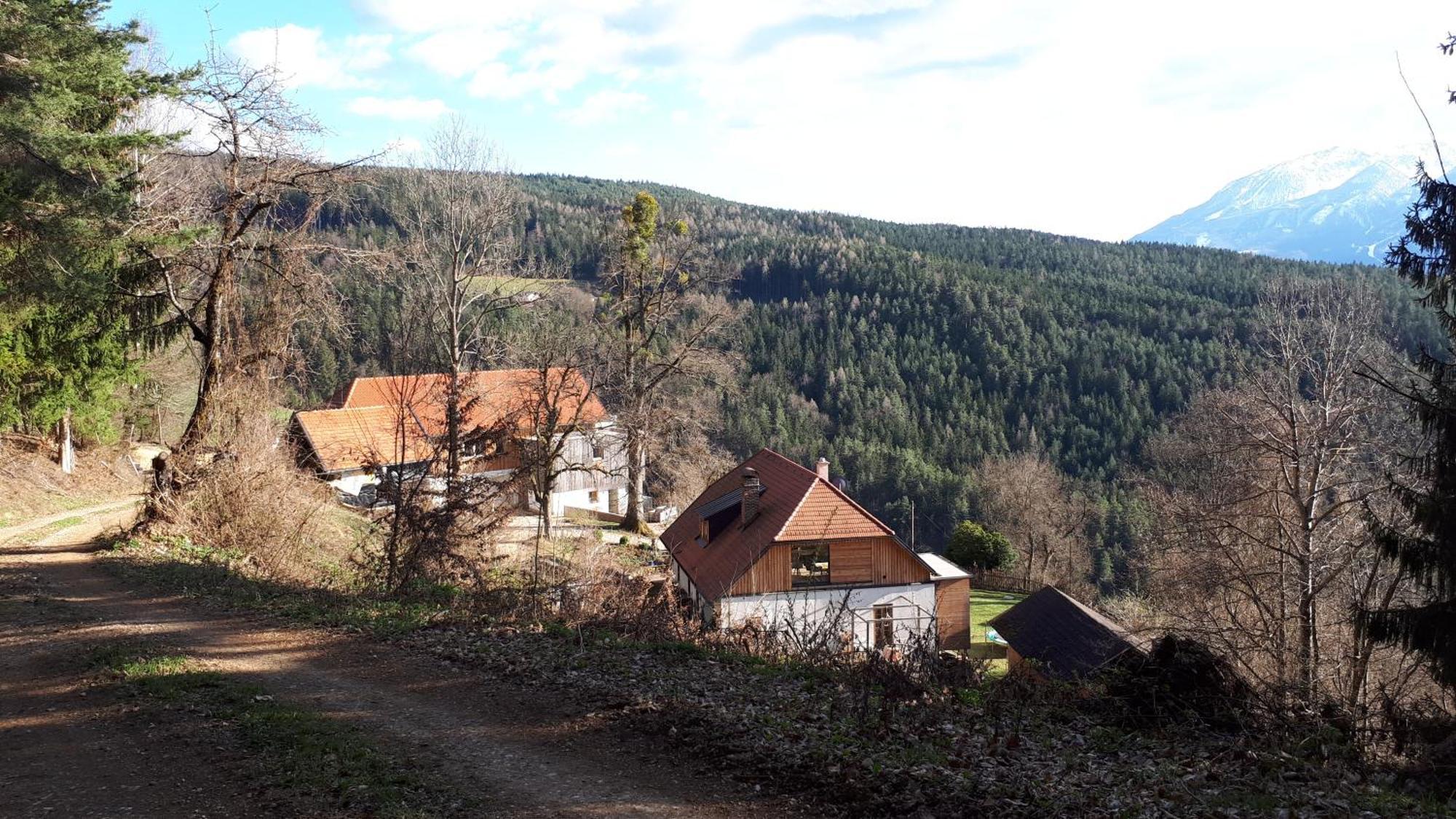 Appartamento Suedalpen Lofts Bleiburg Esterno foto